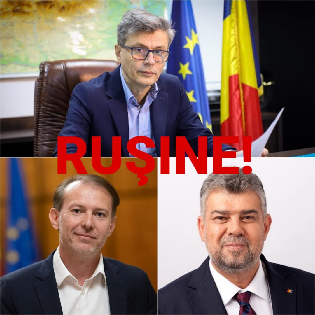 Coaliție