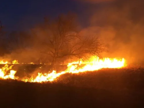 Peste o mie de hectare de teren din România, pârjolite de foc necontrolat Peste o mie de hectare de teren din România, pârjolite de foc necontrolat