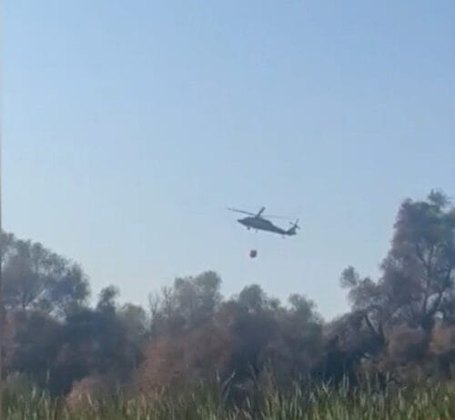 Incendiu de vegetaţie în Delta Dunării