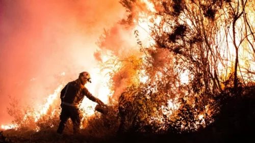 Român mort în incendiile de vegetație violente din Spania