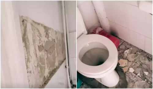 Situație revoltătoare la Palatul Copiilor din Arad! O placă de faianţă a picat în capul unei fetiţe de 6 ani