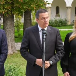Sorin Grindeanu, după consultările cu Nicușor Dan: PSD este pregătit să preia guvernarea